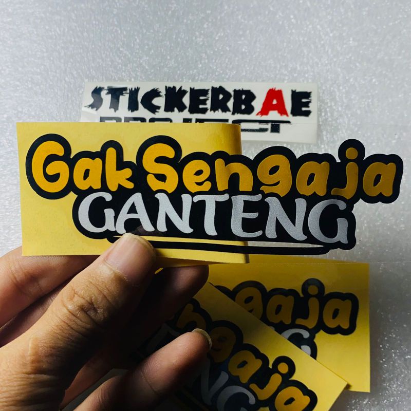 Stiker gak sengaja ganteng cuting sticker 1pcs