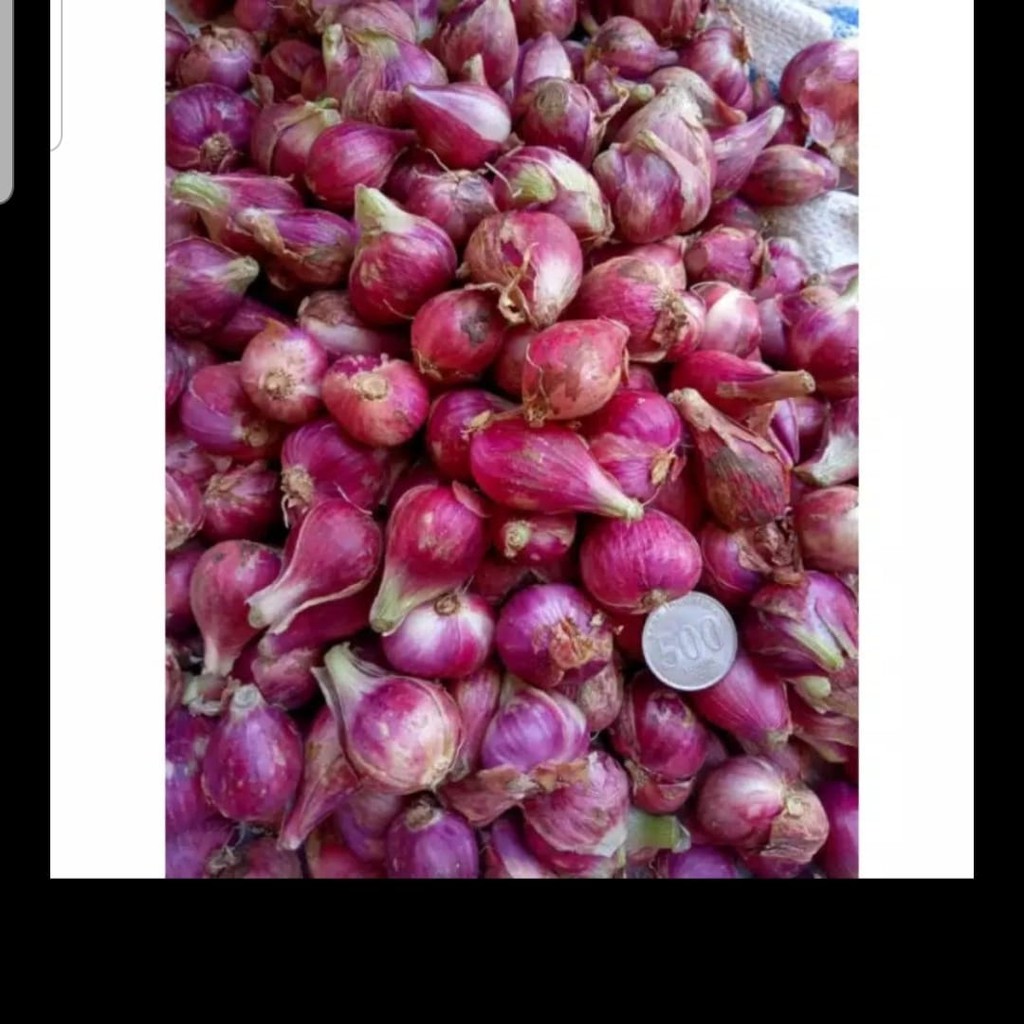 

Bawang Merah