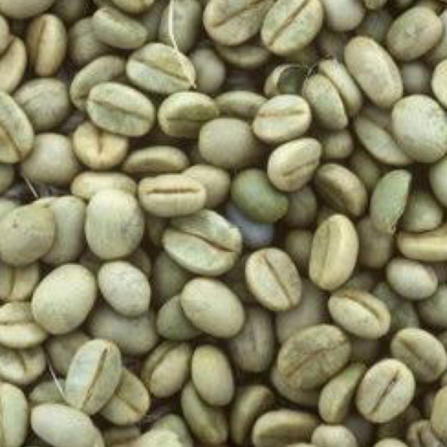 

Biji Kopi Robusta “Muara Kandes”