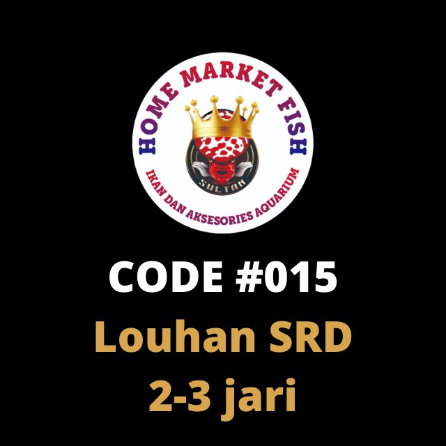 LOUHAN SRD #015  2-3jari REAL VIDEO ikan louhan Super Red Dragon nyata 1 ikan/1 iklan sesuai VIDEO