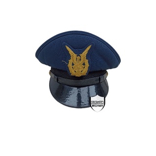 Jual TOPI PET PDU TNI AU - TOPI PET PDU WARNA BIRU | Shopee Indonesia