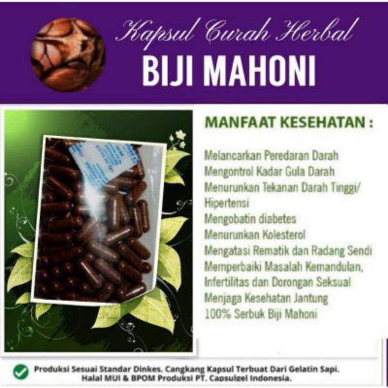 

Biji Mahoni kapsul curah biji mahoni isi 100 herbal diabetes