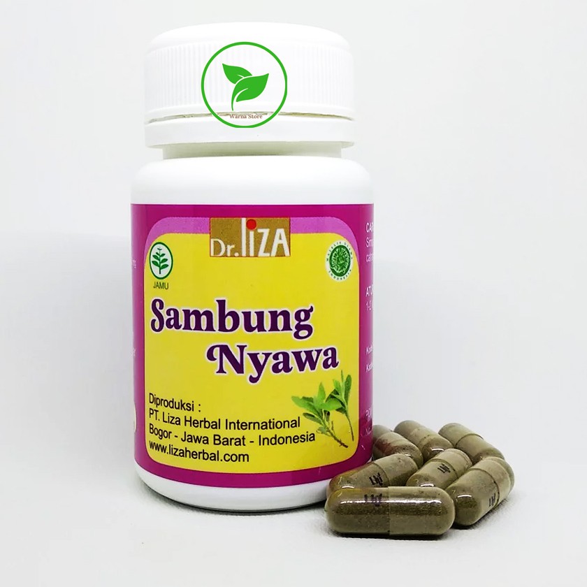 Sambung Nyawa Liza Herbal Untuk Kanker dan Sinusitis