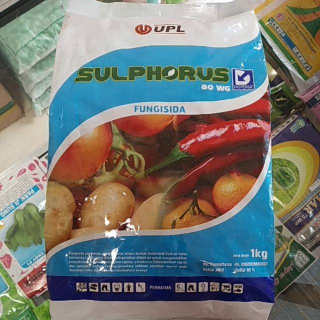Fungisida Sulphorus 80WG 1kg