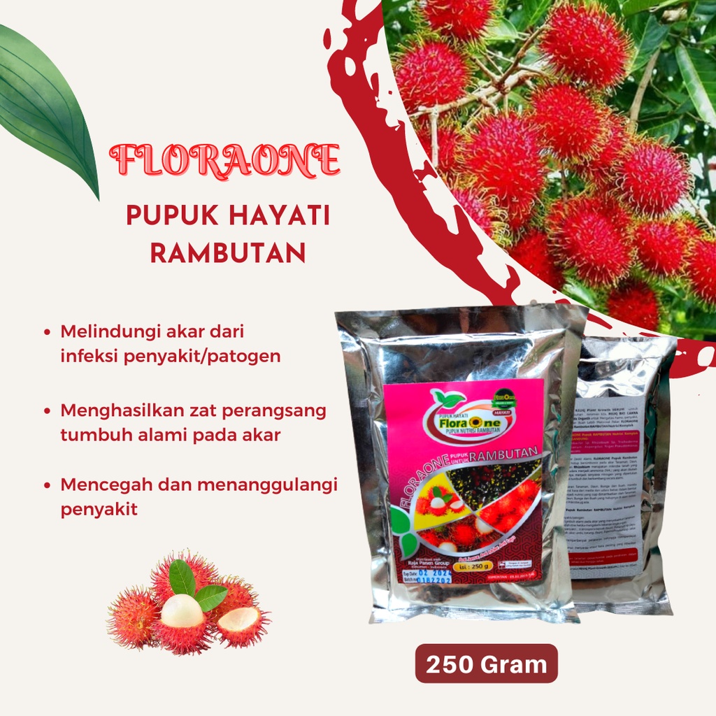 Pupuk Hayati Rambutan Pupuk Booster Rambutan Pupuk FloraOne Pupuk Untuk Rambutan Binjai Pupuk Buah R