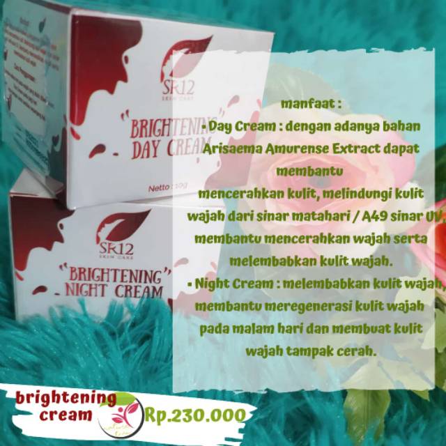 

BRITHENING SERIS DAY & NIGHT SR12 HEEBAL