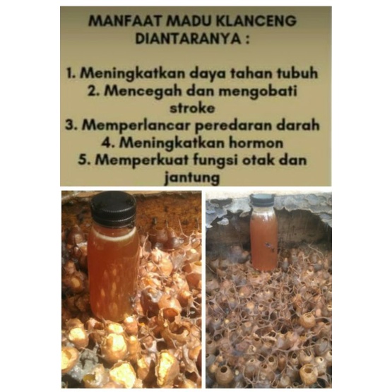 

madu kelaceng hutan