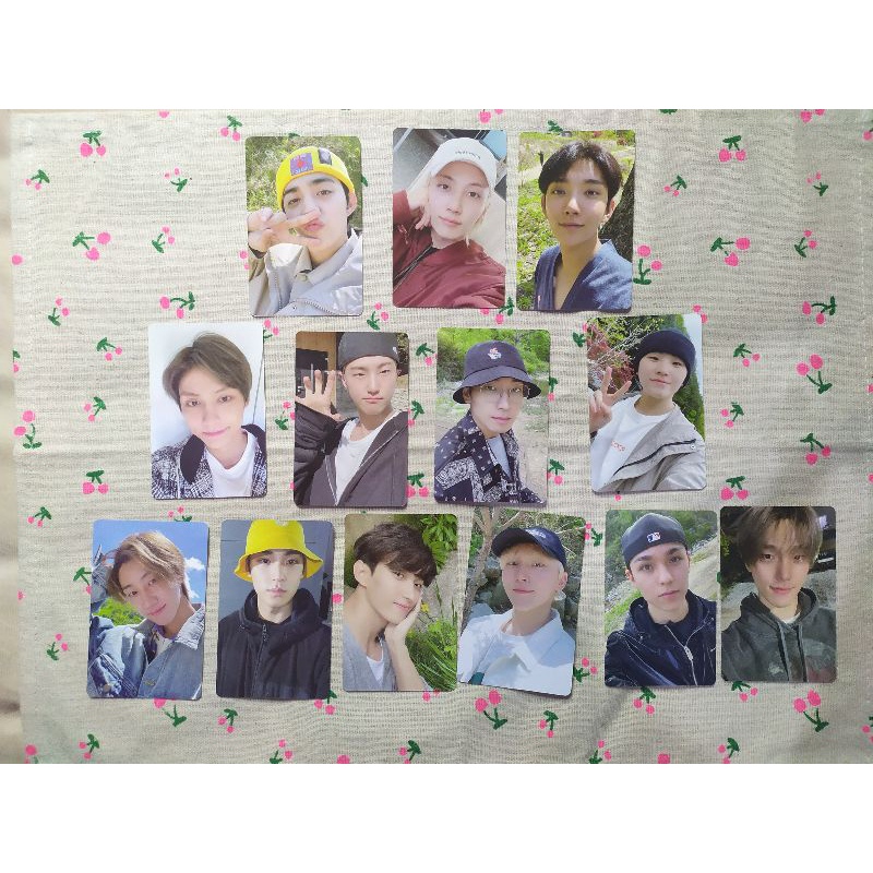 SEVENTEEN IN THE SOOP PC