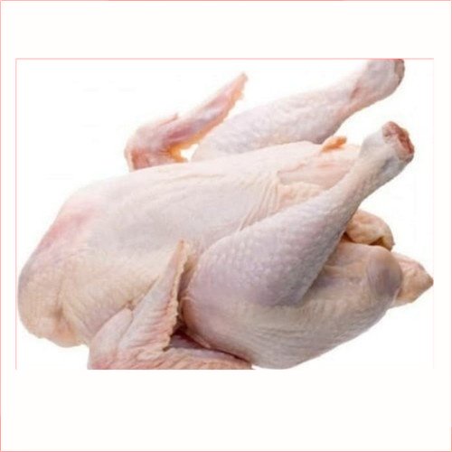 

Ayam Eropa Potong 1 kilo | Ayam Segar | | Pasar Induk Pekanbaru #Harga_Grosir