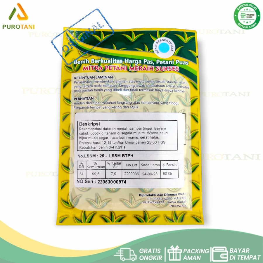 Benih Bibit Bayam Hijau  6500 seeds Original Pack