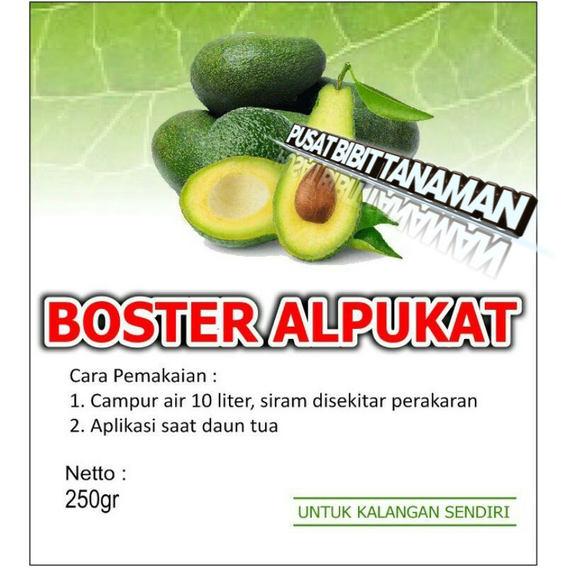 boster apukat (perangsang buah untuh apukat)