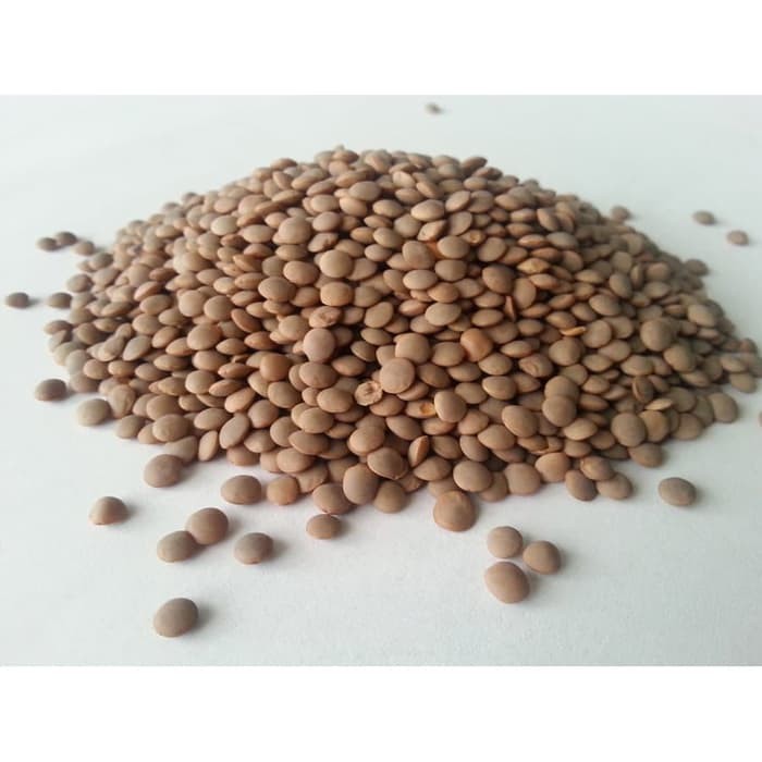 

Brown Lentil 1kg / Lentil Cokelat / Lentil Coklat