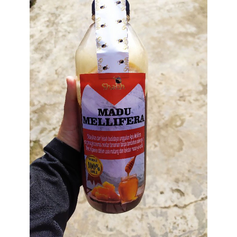 

Madu Asli | Madu Akasia | Madu Murni Nektar Akasia Lebah Apis Melifera