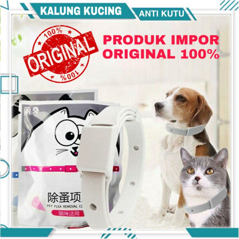 Kalung Leher Anjing / Kucing Anti Kutu / Nyamuk