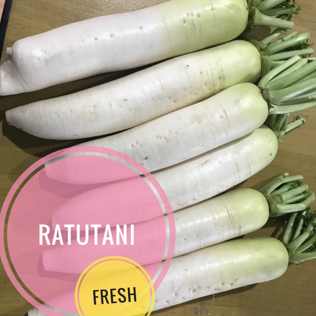 [10k] Sayur lobak fresh Rp 10ribu 500gr