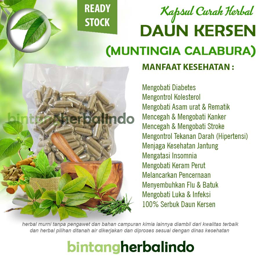 

DAUN KERSEN 100 Kapsul Herbal Diabetes Stroke Tumor Asam Urat Imunitas