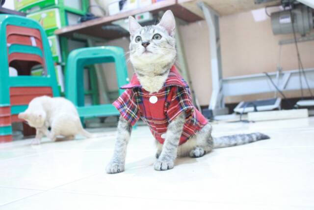 Kemeja kotak-kotak merah lucu untuk kucing dan anjing size S M L XL / baju kucing murah