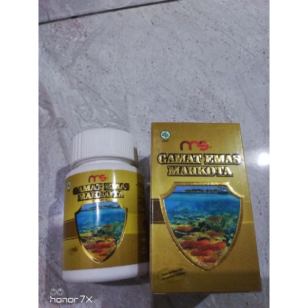 GAMAT EMAS MAHKOTA MSI