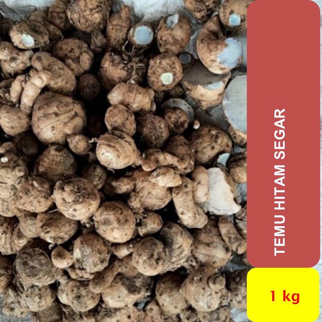 

Temu Hitam Temu Ireng 1000 gram