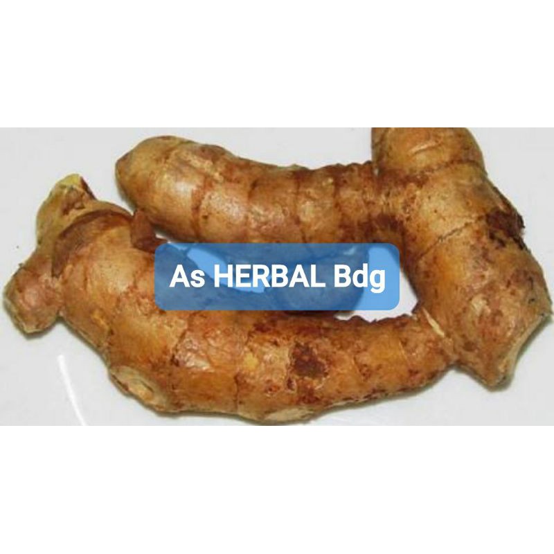 

Temu lawak temulawak segar paket 500 gram ready-az