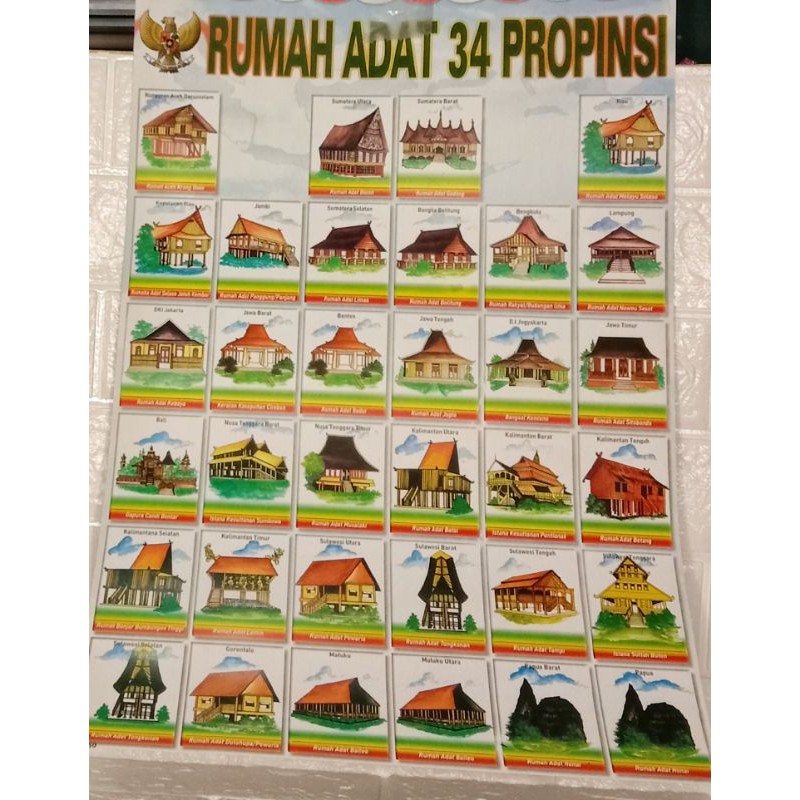 poster edukasi rumah adat 34 propinsi