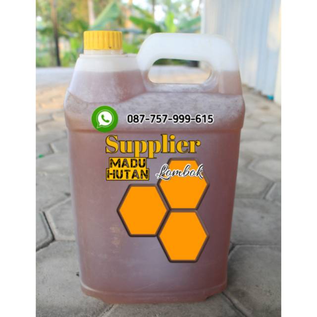 

Madu hutan lombok 5 liter