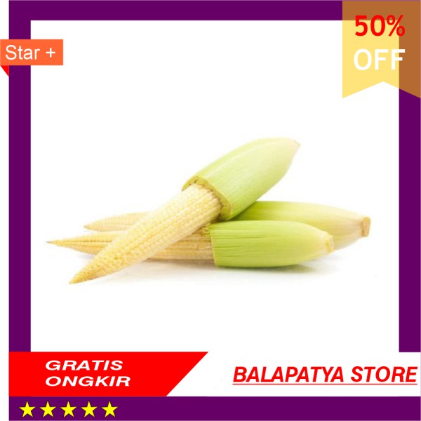 

CUMA HARI INI SAJA!!! 50 Off Jagung Acar Jagung Muda 500 gr