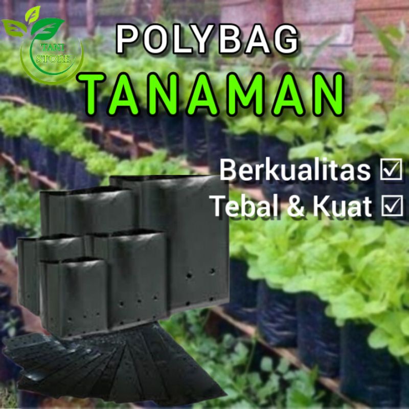 POLIBAG TANAMAN 1 KG_15×30,25×25,30×30,40×50_Polibag semai