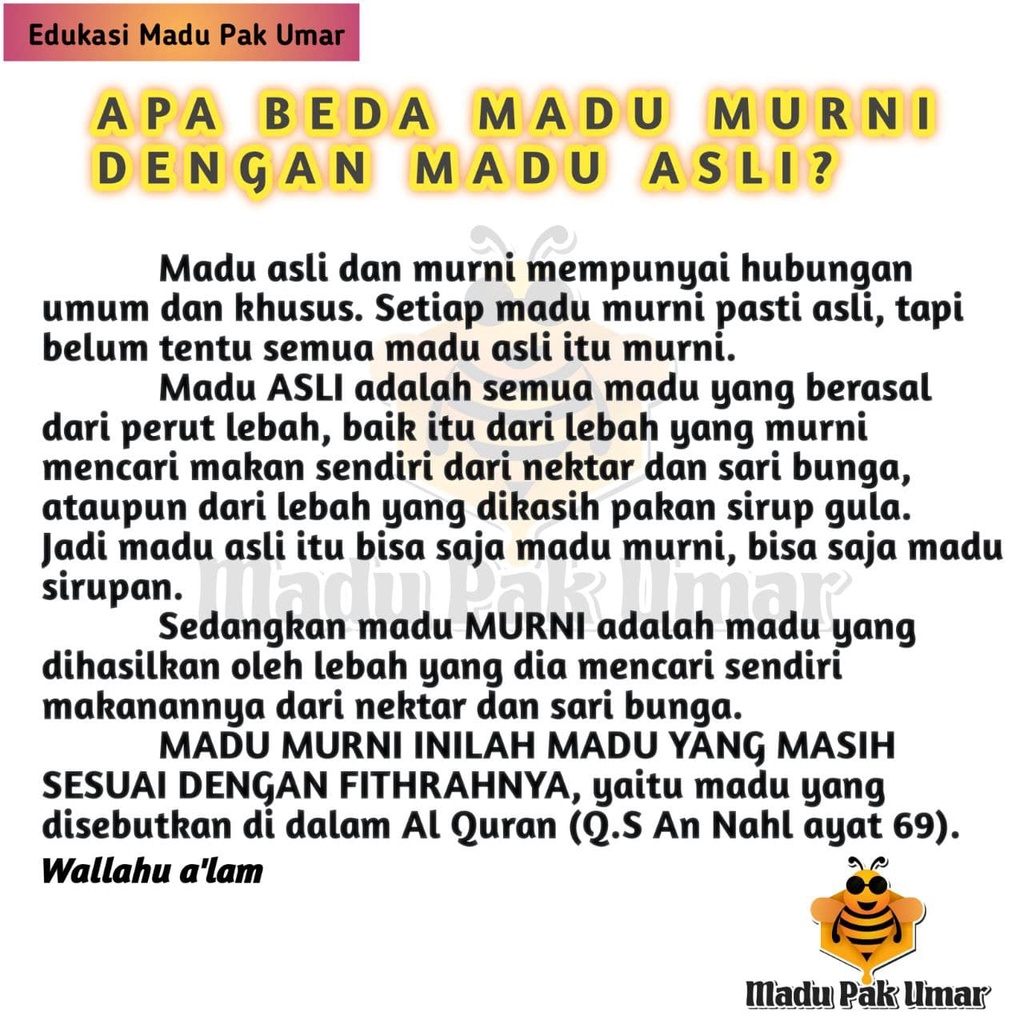 [COD bisa] Madu Hutan Akasia Mangium Pak Umar Lebah Apis Mellifera Raw Pure Honey