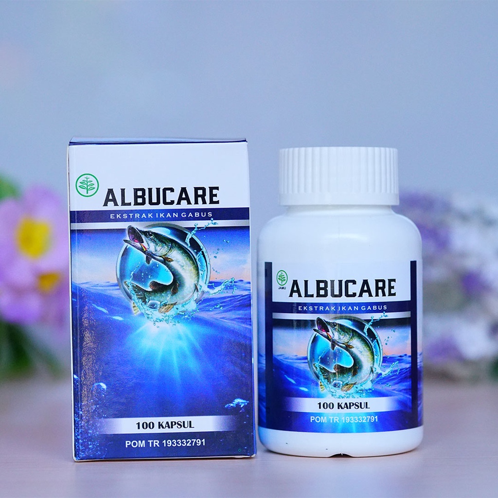 Albucare Obat Luka Bakar Kenalpot Bernanah Luka Operasi Caesar Cepat Kering Isi 100 Kapsul Ikan Gabus BPOM Original