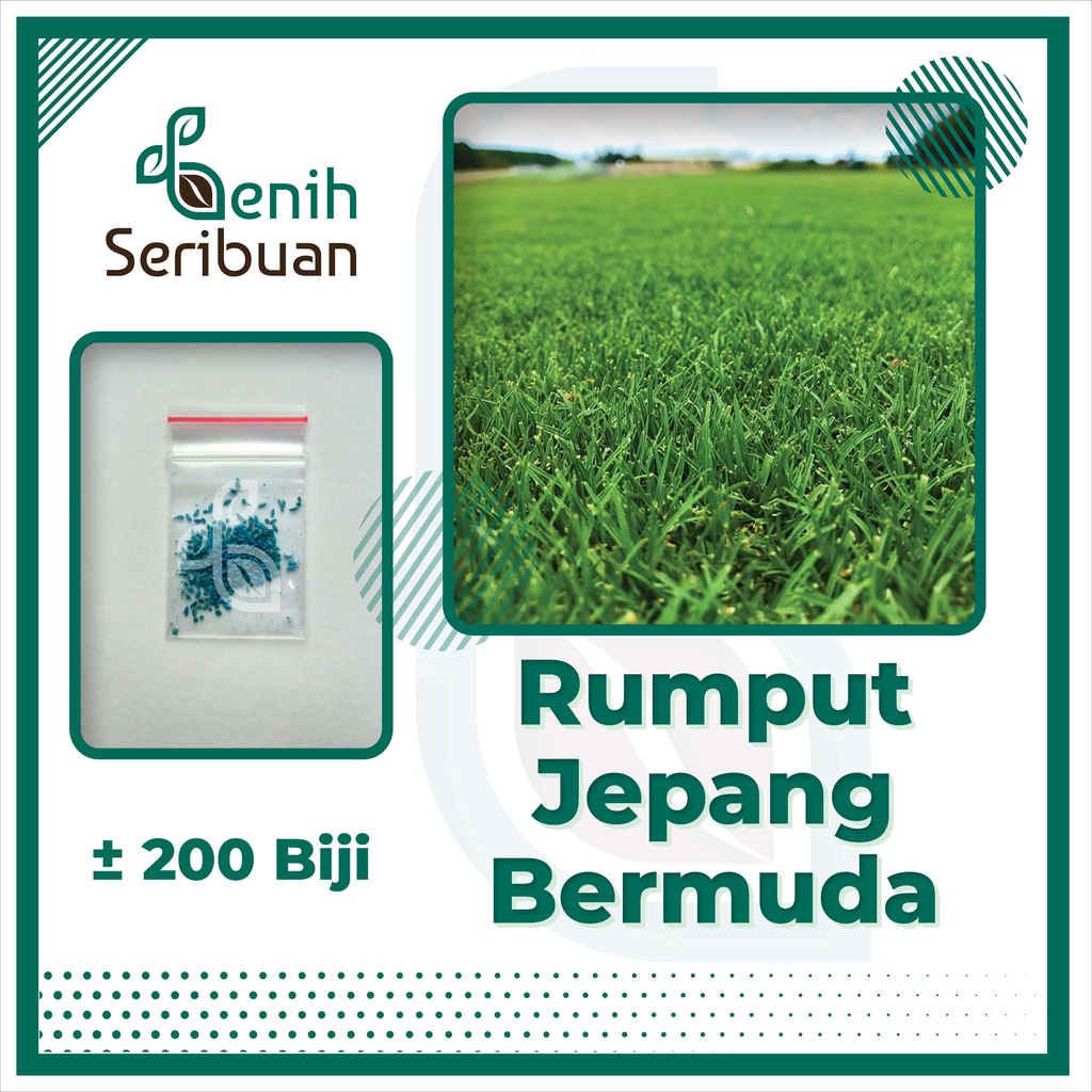 200 Benih Bibit Rumput Jepang Bermuda Grass Seed Standar Golf Import F1 Scotts Turf Builder Bibit Tanaman Hias Bunga Unggul Berkualitas Super