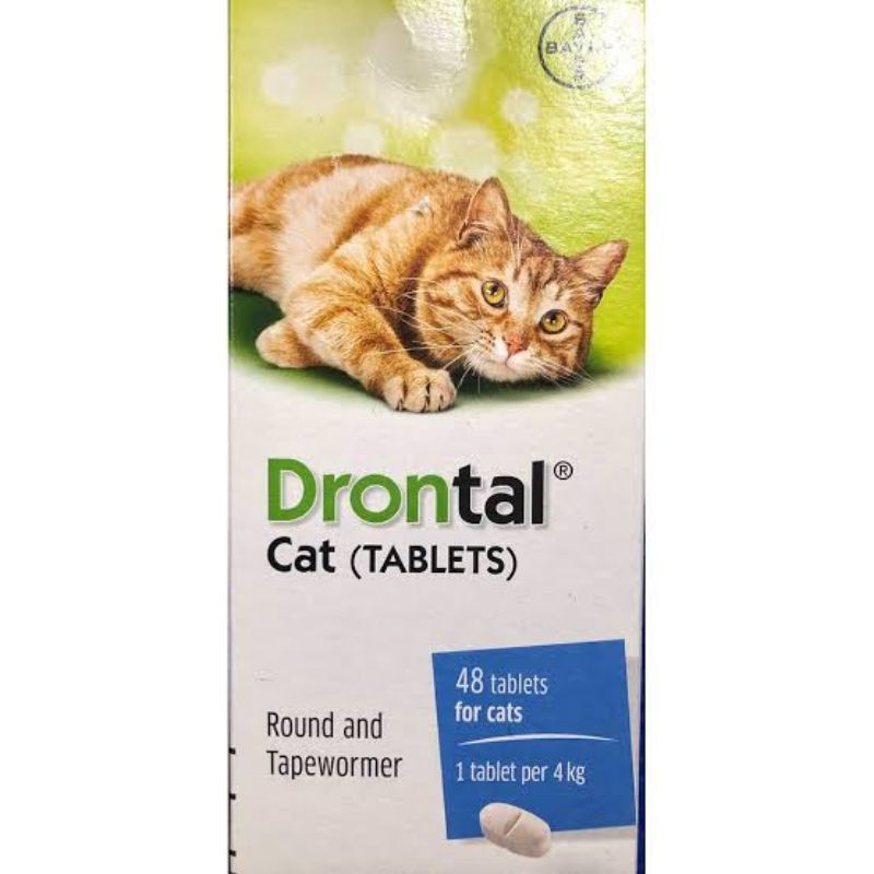 Drontal Cat 1 Box 48 Butir