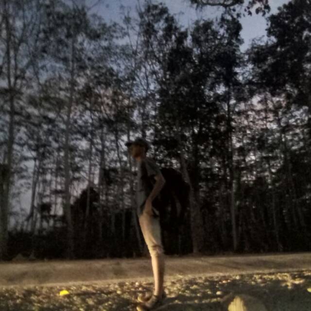 muhammadikhsyarfaila