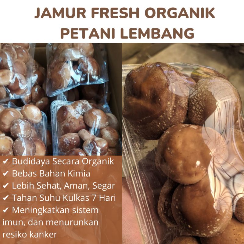 

MURAH!! JAMUR SHITAKE ORGANIK 250 gr/pack