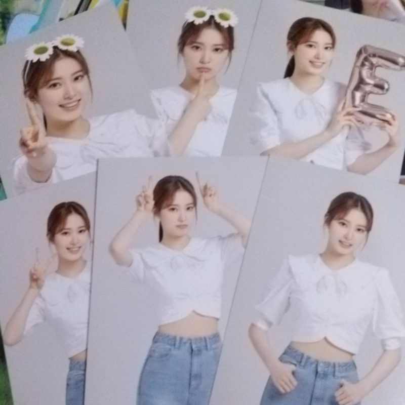 MD WEEEKLY Photo Film Zoa Set