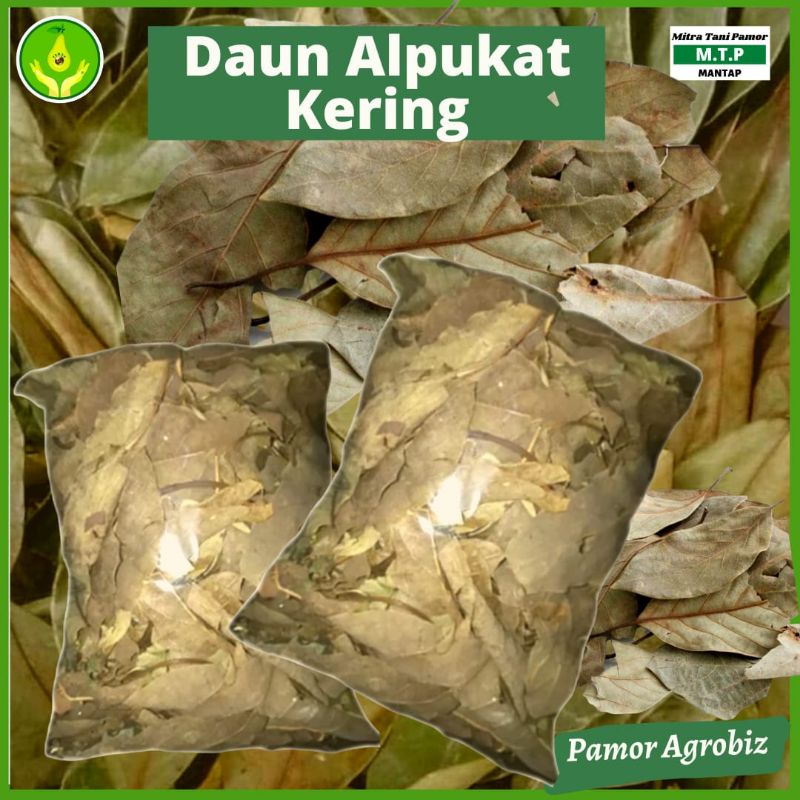 

Daun Alpukat Kering Diproses Alami Tanpa Pengawet dari Daun Alpukat Segar Pilihan