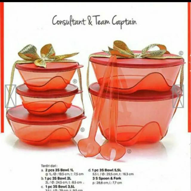 Tupperware 3S Bowl set activity