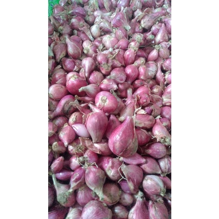 

bawang merah Brebes 1/2kg sedang harga grosir