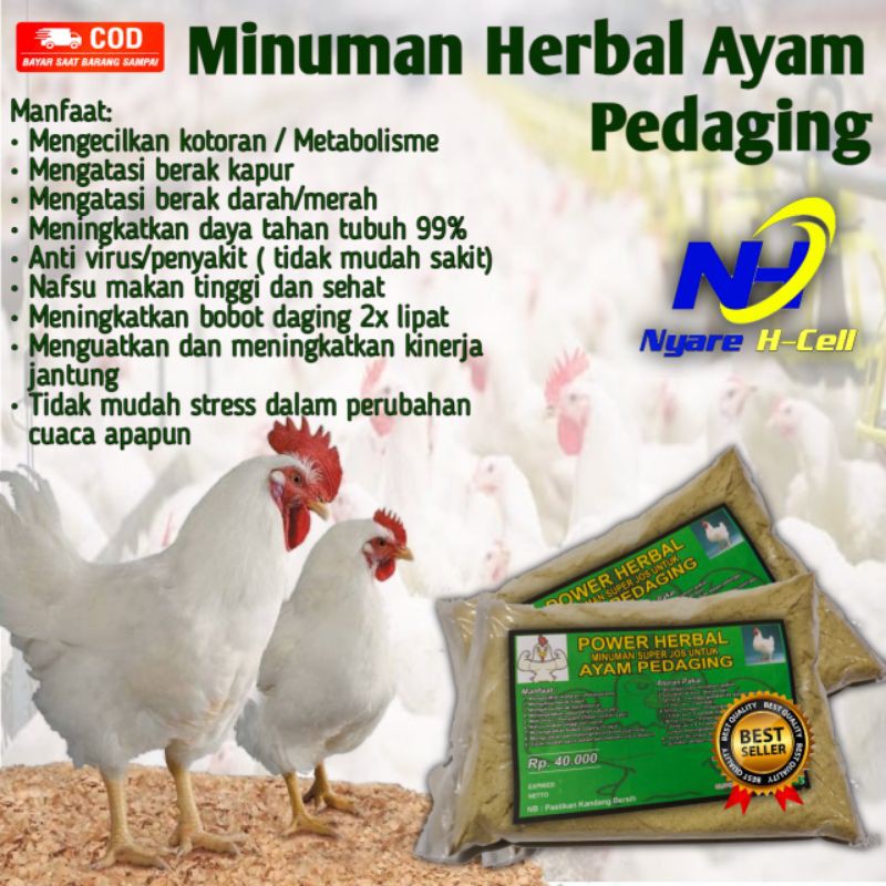 Jual Anti Goham Goam Obat Jamu Herbal Ayam Manikan Sariawan Jalu Aji Jakarta Selatan Toko Raffi Hamzah Tokopedia