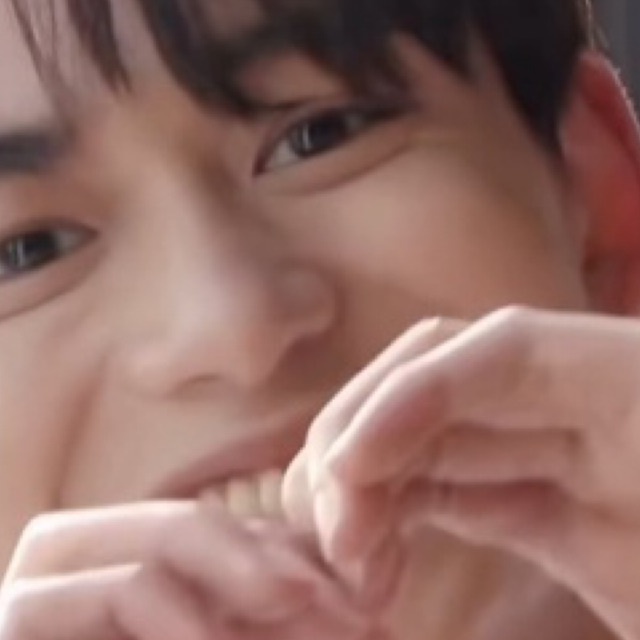 mingyu teen age pc booked