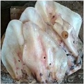 

kuping sapi bersih