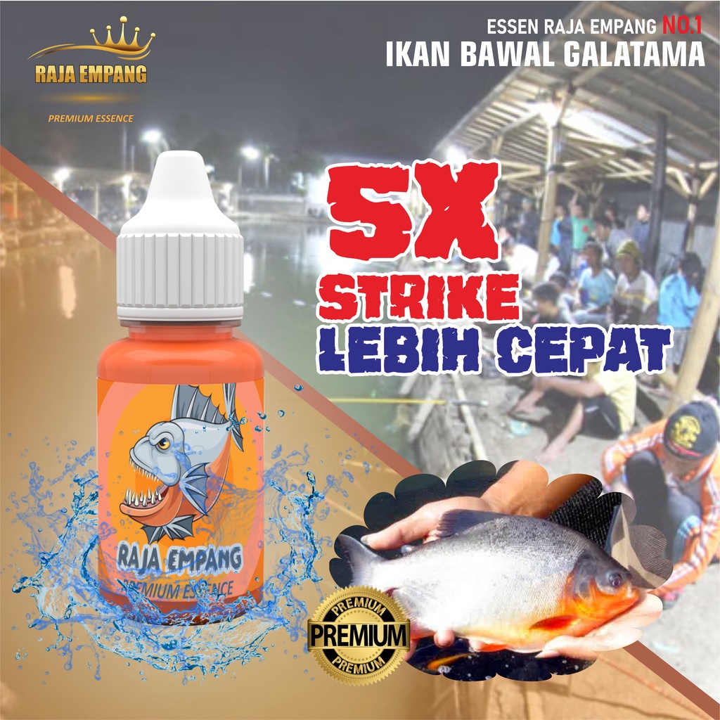Essen Raja Empang Ikan bawal gacor harian | essen galatama bawal | esen bawal galatama | esen ikan b