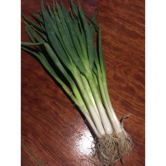 

Bawang daun