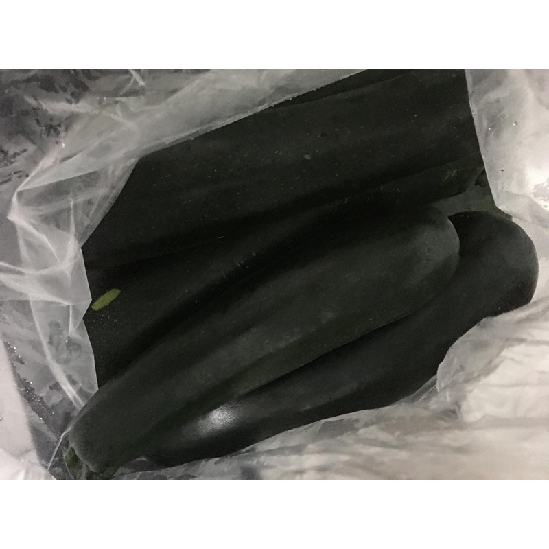 

Cukini Zucchini