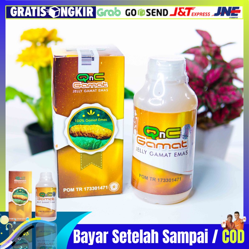 Qnc Jelly Gamat Asli 100 Original Cv Jogja Natural Herbal Di Bandung Indonesia