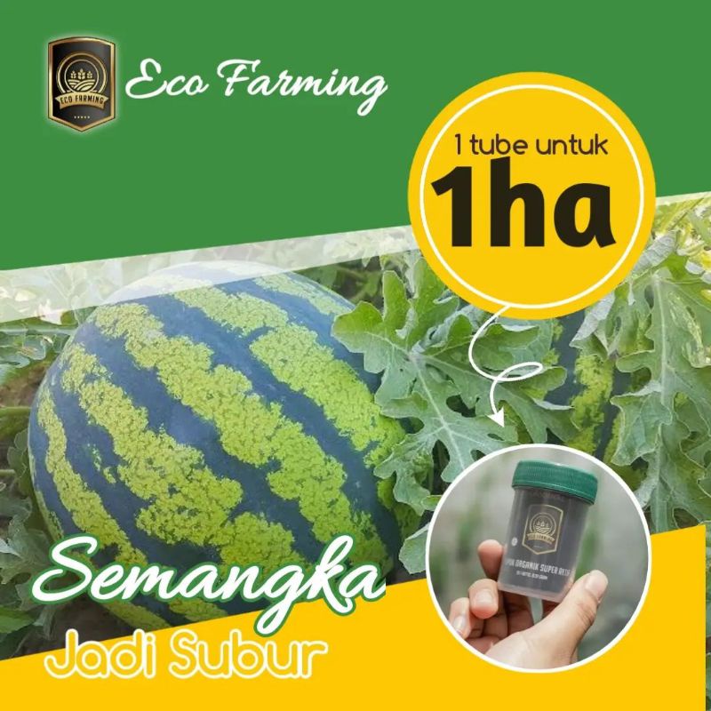 PUPUK ECO FARMING ASLI