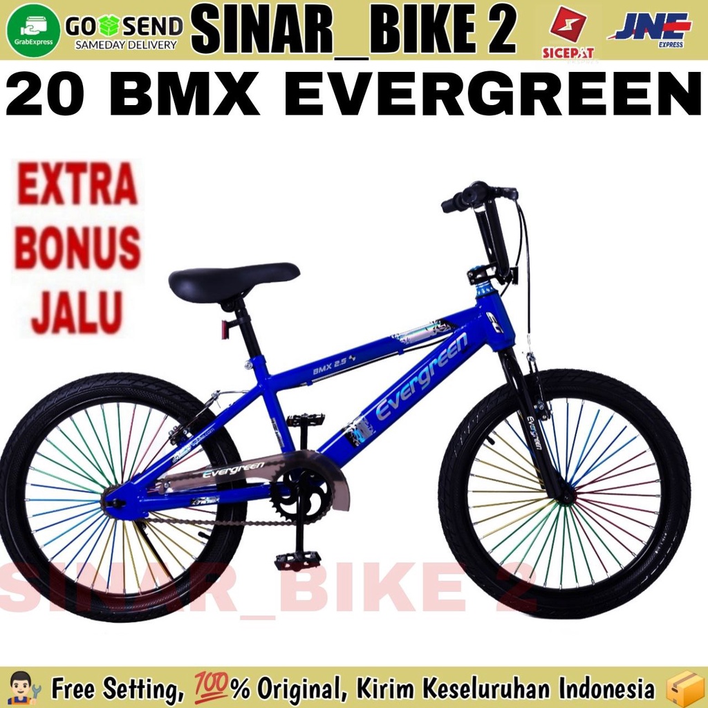 Sepeda Anak Laki BMX 20 Inch Evergreen B2 Ban 2.50