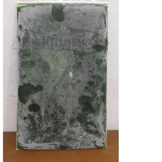 BURGER DISCUS LOUHAN BEKU HIJAU SPIRULINA PAKAN MAKANAN IKAN