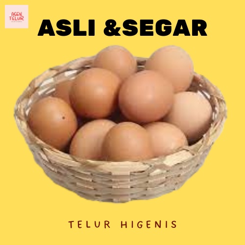 

Telor Telur Ayam Asli Premium Negeri