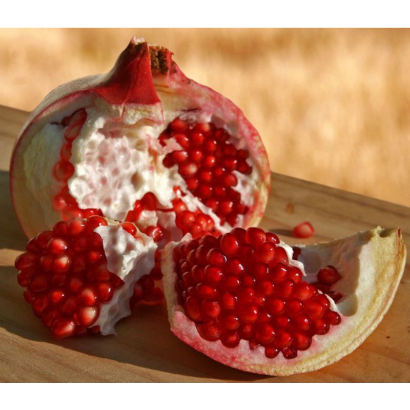 

Delima merah import pomegranate tunisia per pcs